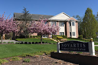 Novartis Federal Credit Union 01